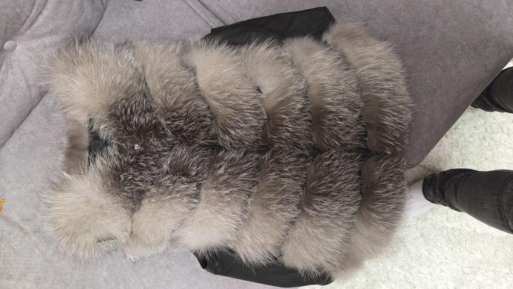 Vesta vulpe argintie