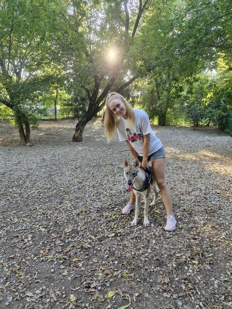 Pet sitter/ Cazare animale