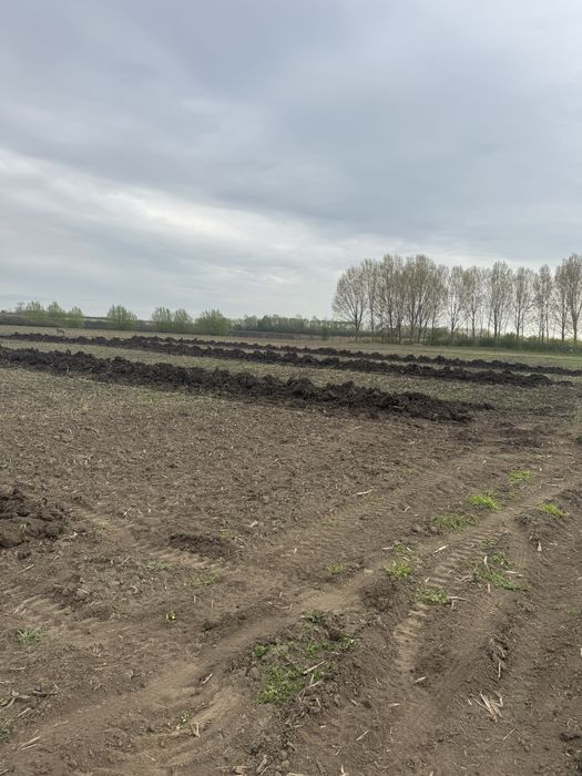 Funadatii,beciuri,nivelari teren,piscine,nisip,piatra,balast etc