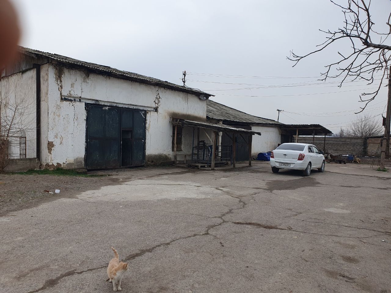 Новый Ташкентский р-н, Rabad, 70 сот