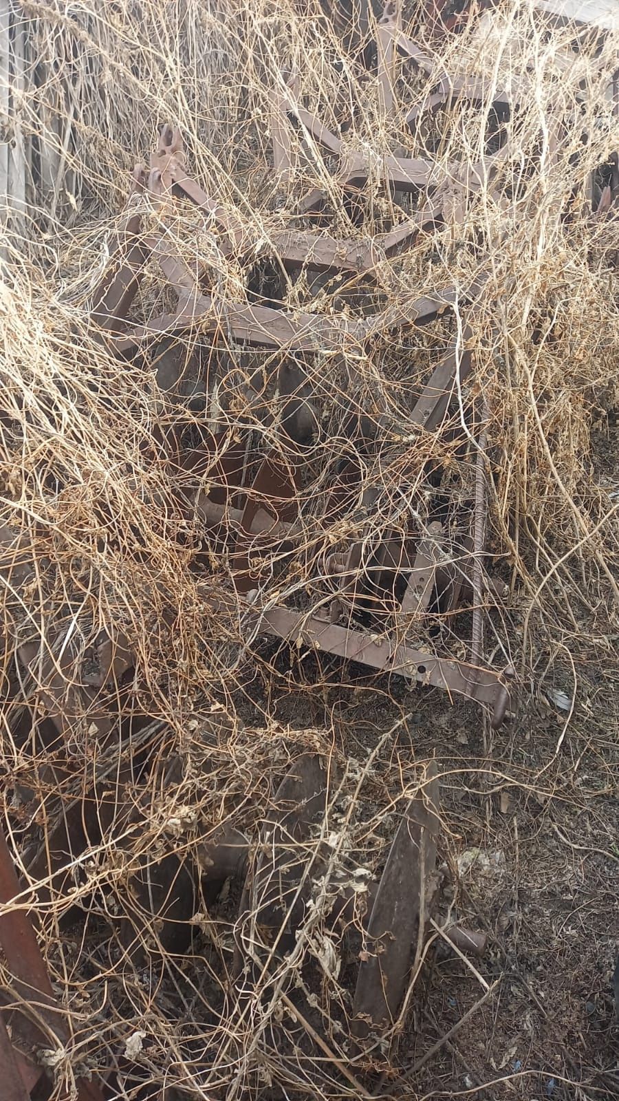 Продам БМШ на базе лущильника ЛДГ10