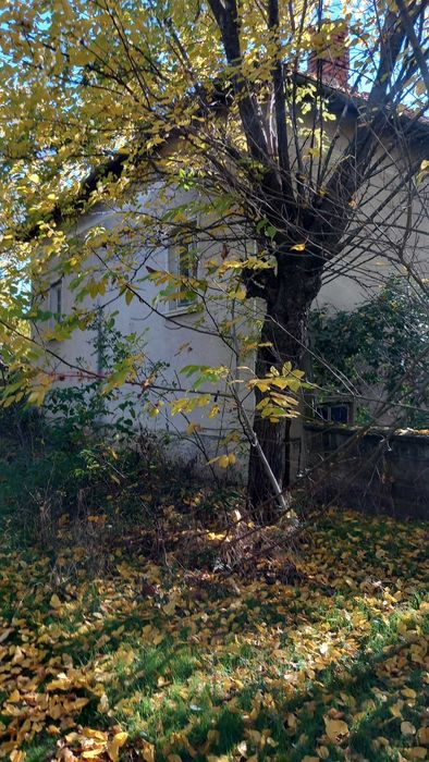 Продавам къща с голям двор