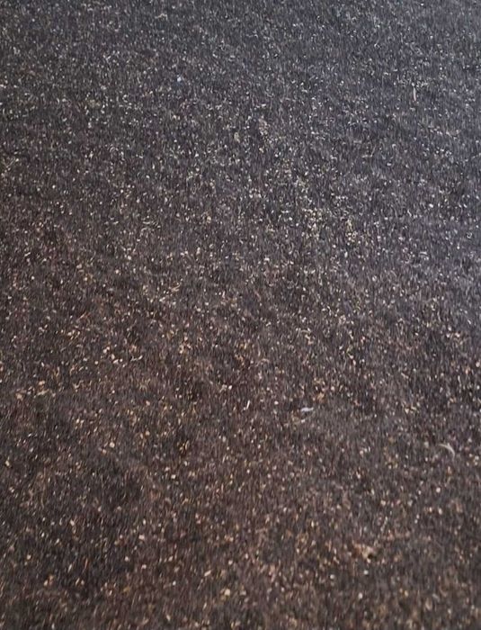 Vând 50T flaorea soarelui