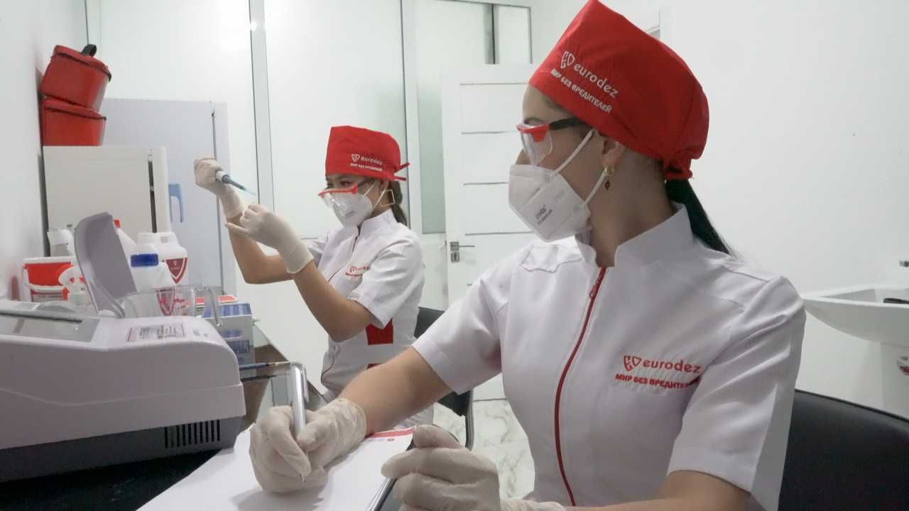 Дезинфекция в Ташкенте