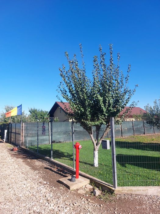 Afumați IF str. Liliacului nr. 11 B - teren casă racordat la utilități