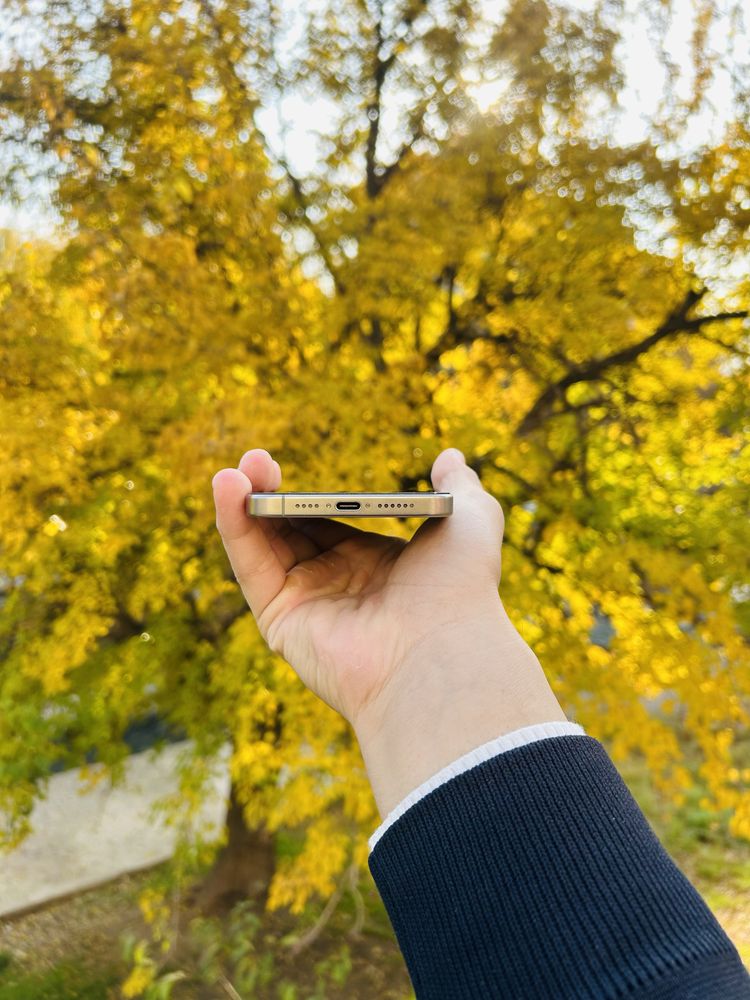 IPhone 15 Pro Max 256