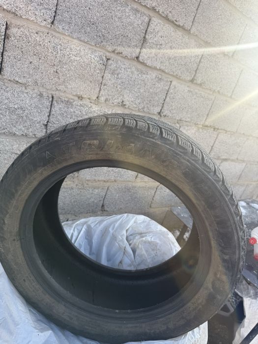 комплект зимних шин Triangle