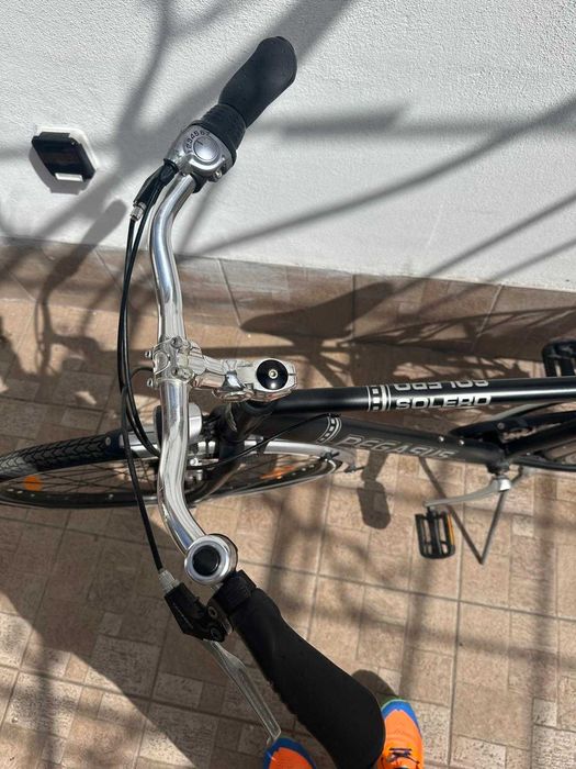 Vand Biciclata Pegasus, accept si anumite schimburi