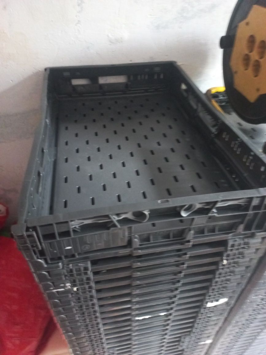 Vând lăzi de plastic pliabile bune pt orice(mere,pere,cartofi ETC)