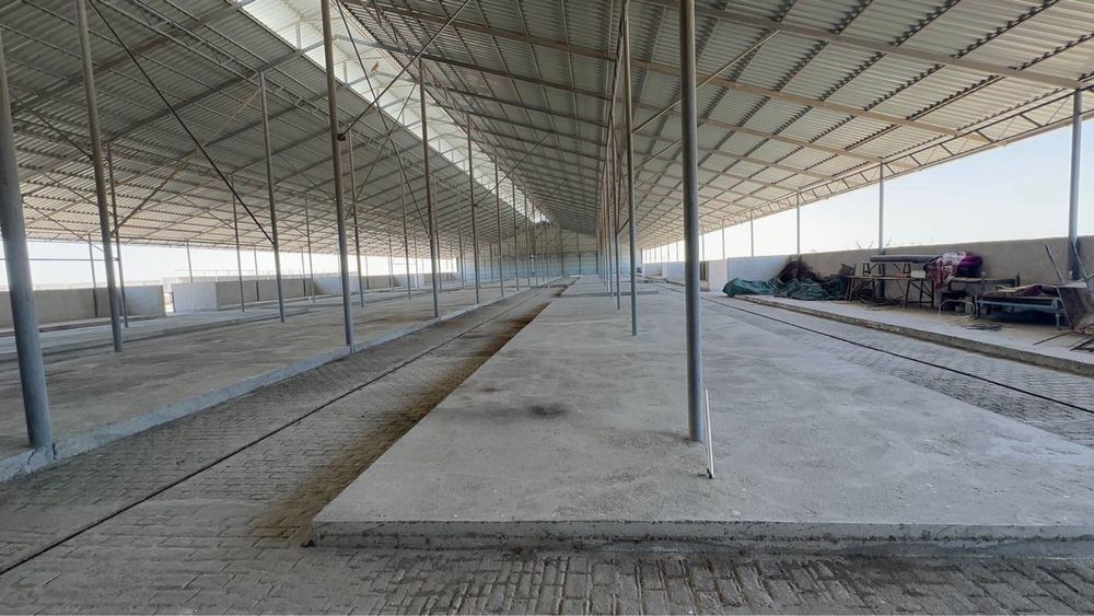 Продается новый Ферма в Бухаре