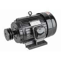 Motor electric 9.5kW trifazat 400V 2850rpm trifazic (ALC300-3-400V)