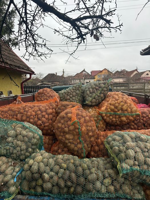 Vand cartofi animale