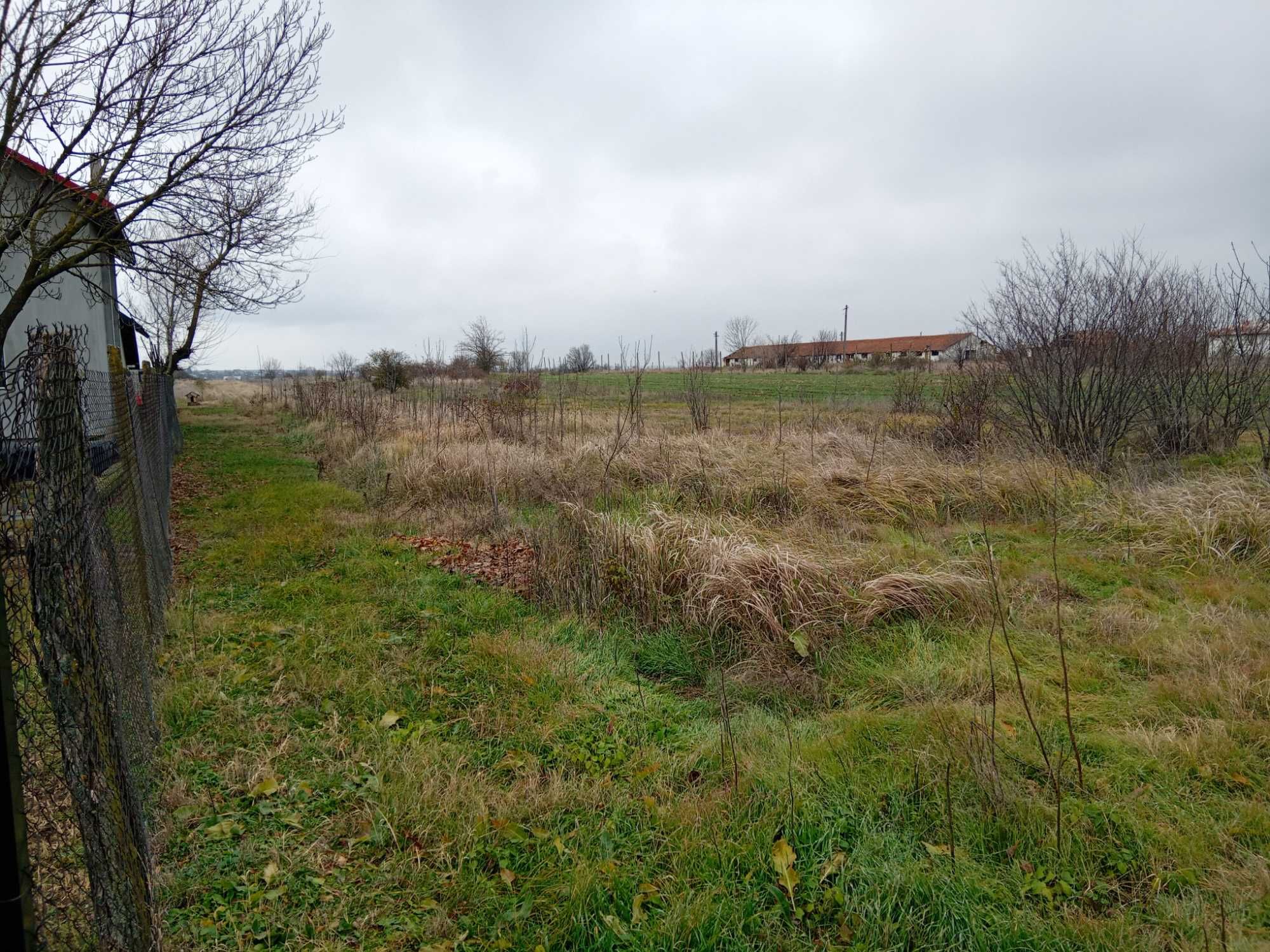 Teren de vanzare in Vanatorii mici jud Giurgiu