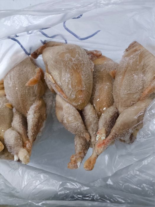 Продаю мясо перепелов