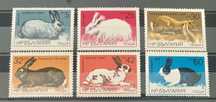 2617. България 1986 = БК 3488 /93 “ Фауна. Породи зайци.”, MNH