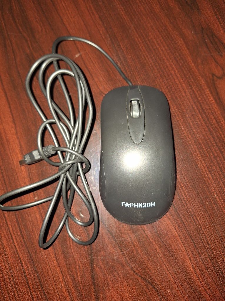 Компютерная мышка