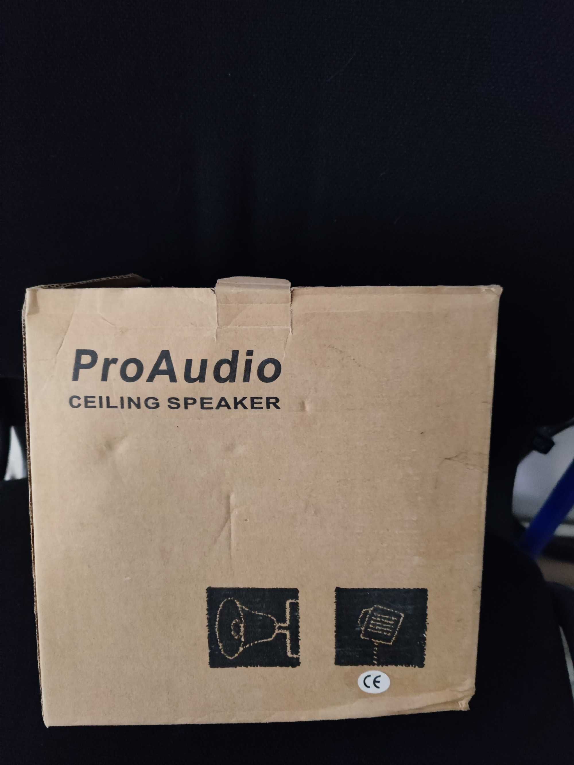 Таванен говорител ProAudio 3W