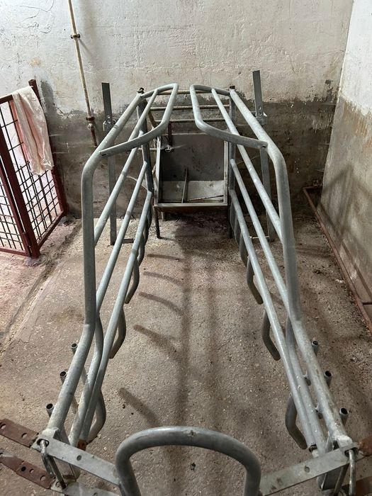 Vand maternitate pentru porci