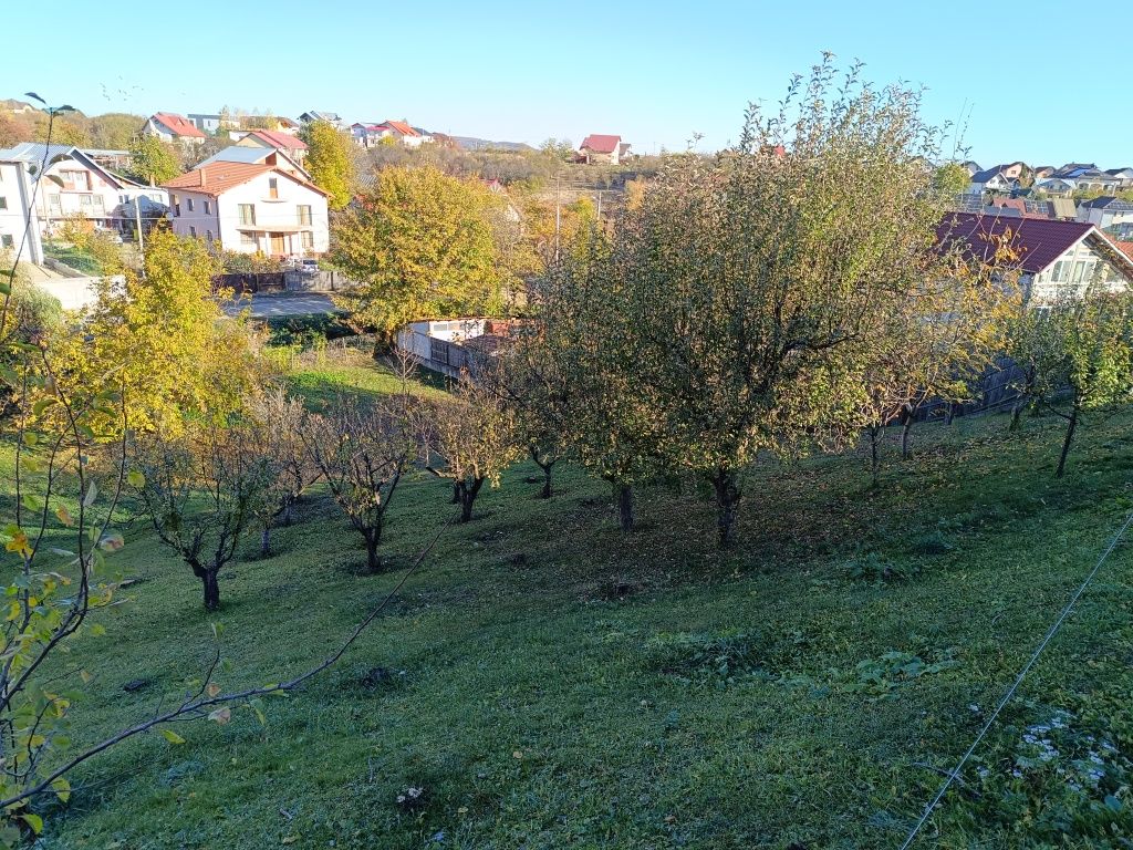 Teren Valea Geamana -Pitesti Proprietar