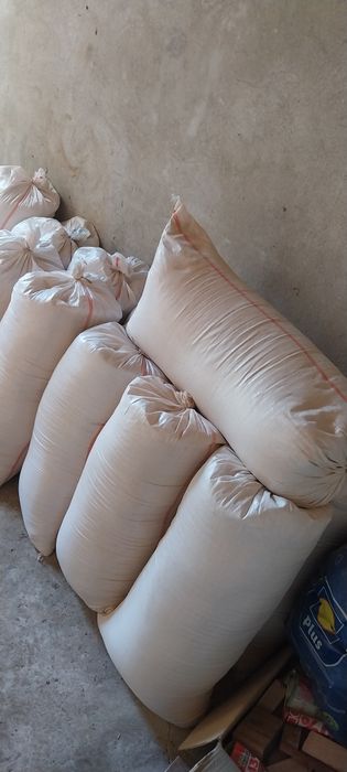 Rumegus de fag curat pentru afumat in Satu Mare