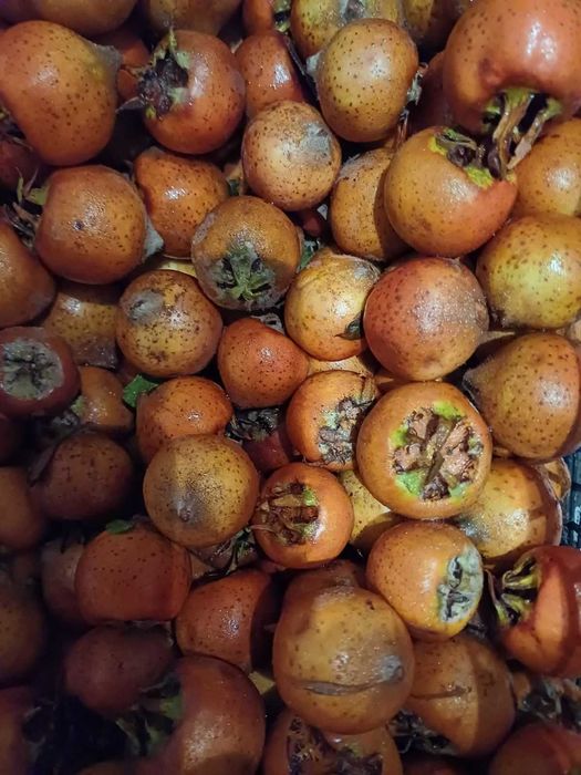 Мушмули цена 4 лв