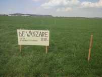 Teren intravilan de vanzare in comuna 1 Decembrie 1200 mp.