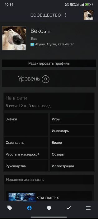 Стим аккаунт(10 игр по 4000 часов)