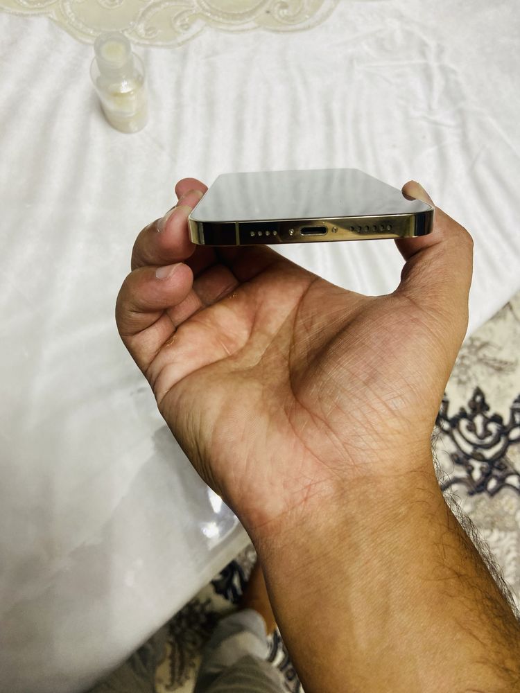 Ipone 13 pro max