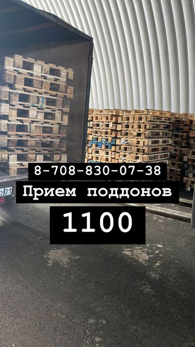 Поддоны прием 120х80 120х100
