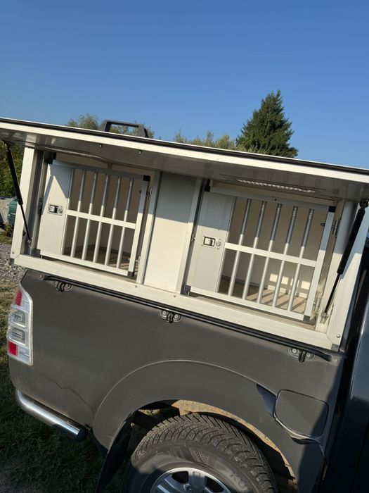 Cusca lada trasnport animale caini