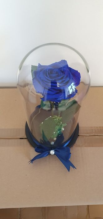 Cupola sticla cu trandafir criogenat