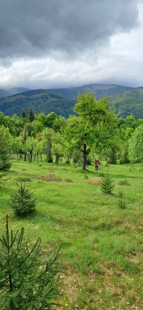 Teren cu vedere frumoasa