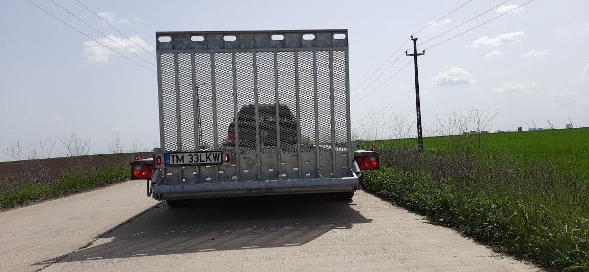 Vând remorcă transport utilaje mini 3.5t cu 3 axe