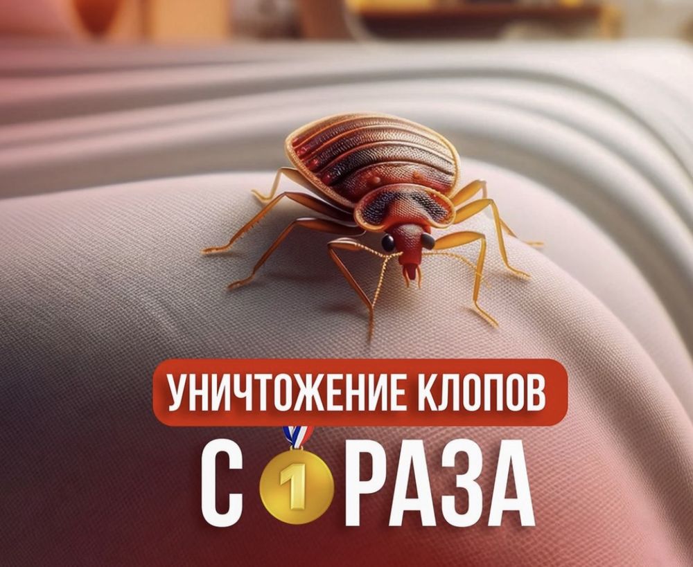 Dezinfeksiya Xizmati 100% Дезинфекция.