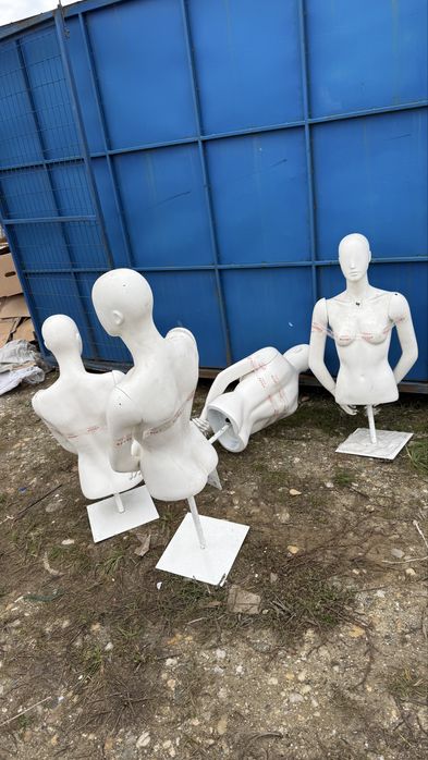 Busturi Barbat, busturi Dama, manechin, Manechini, manechine, bust