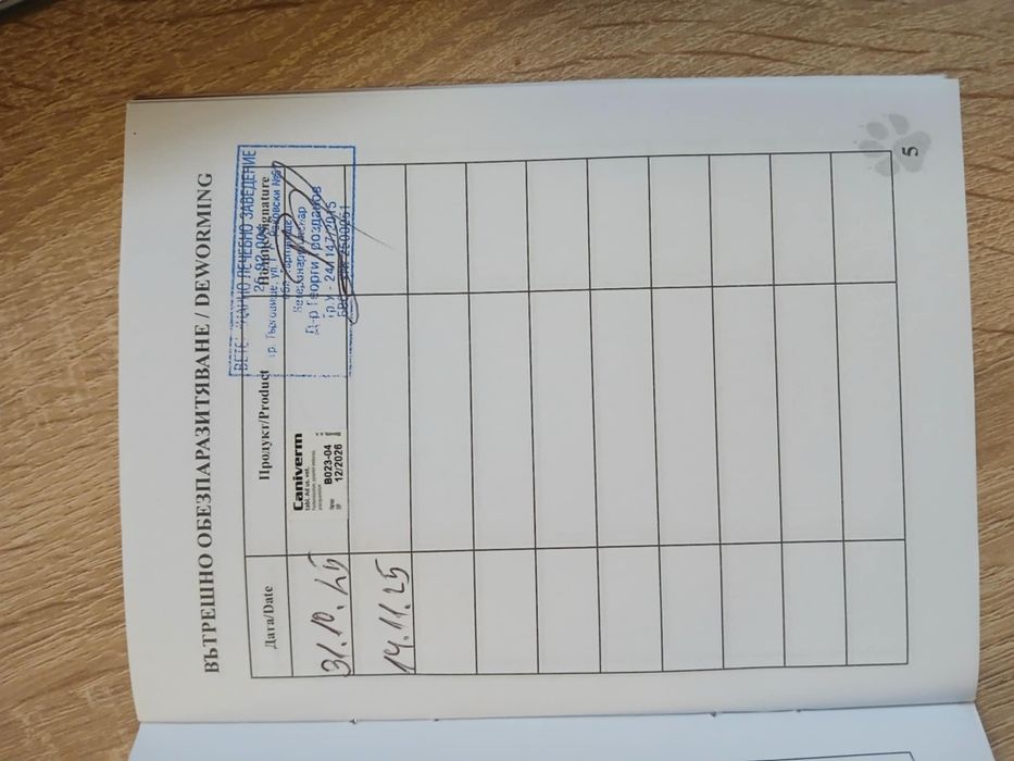 Куче немска овчарка