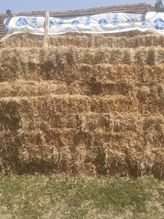 Vând baloți de paie