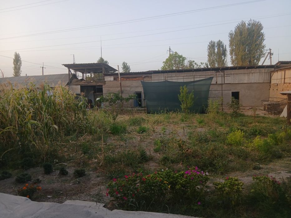 Uy sotilad manzil Chigiriqi Tinchlik mahalla 50 uy