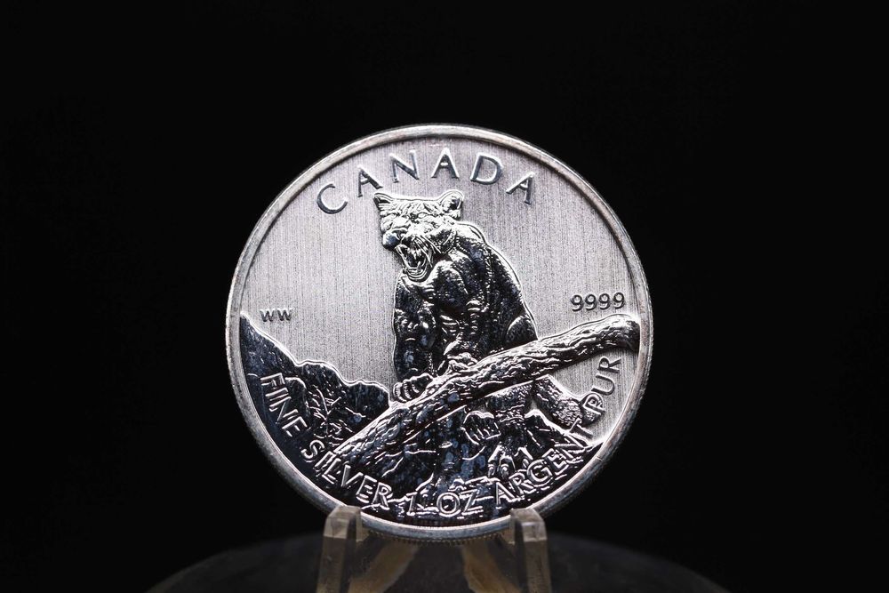 Инвестиционни монети, сребро, 1 оз / унция