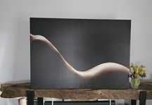 Nude Lady Poster