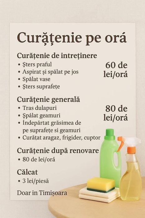 Servici de Curatenie !