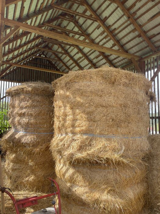 Vând baloți rotunzi!