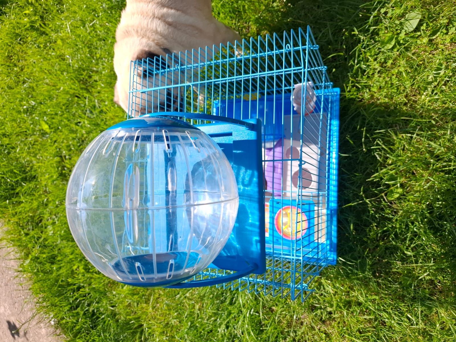 Cușcă hamsteri cu accesorii