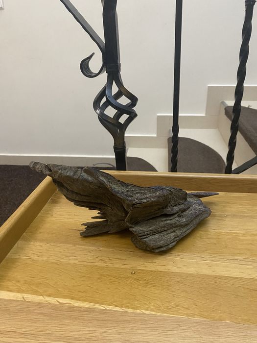 Accesorii acvariu pesti