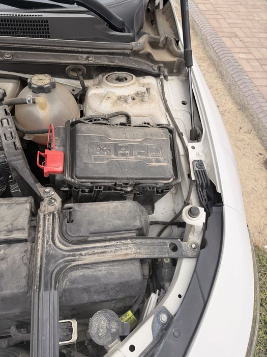 Malibu 2 PRIMER 100% - 2022