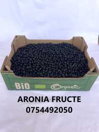 Aronia fructe bio