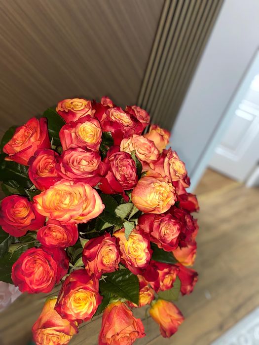 Цветы роза.Свежий