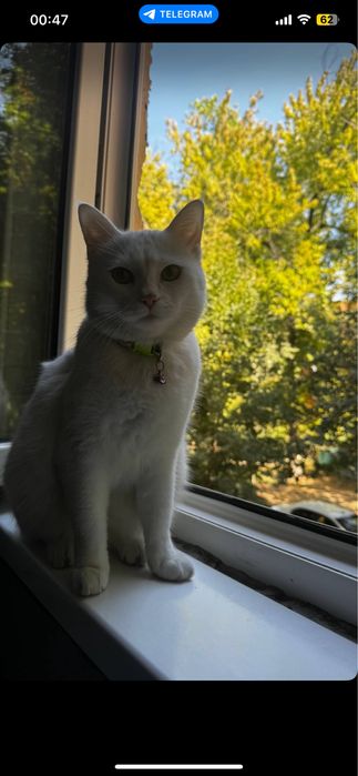 mushu bor shundo bervoriladi qariydigan odam kere pirifka qilingan qz