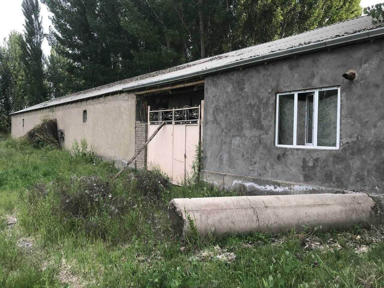Intensiv suv xavzalarida baliq yetishtirish va yem chiqarish tsexi
