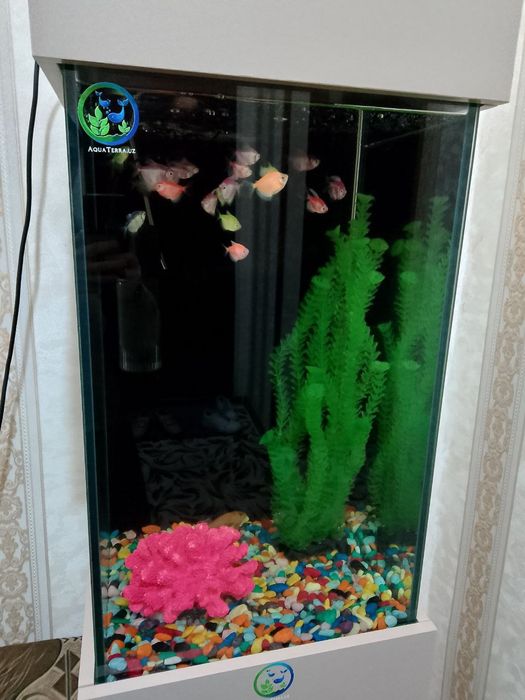 Akuarim sotiladi ichidigilari bilan